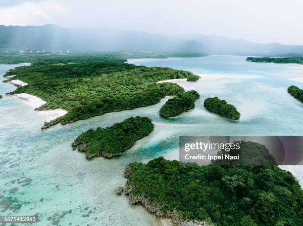 tropical island in rain squall, ishigaki, okinawa, japan - squall stock pictures, royalty-free photos & images