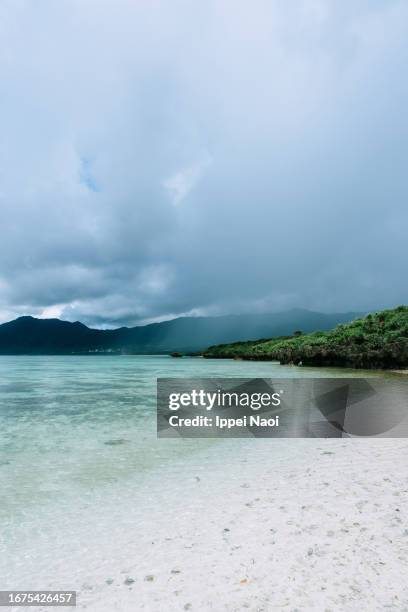 tropical beach with storm approaching, okinawa, japan - squall stock pictures, royalty-free photos & images