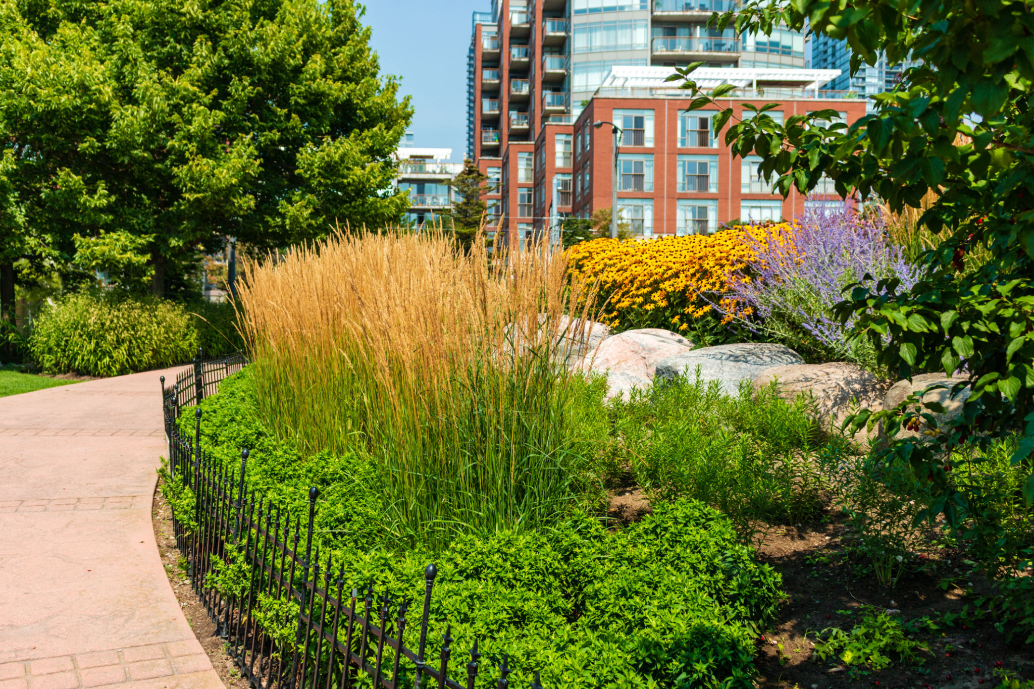 urban plant selection