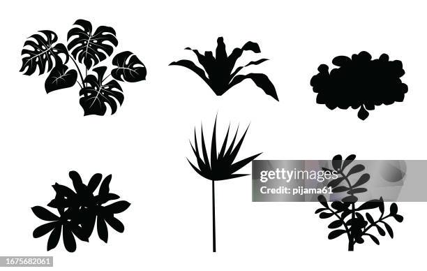 stockillustraties, clipart, cartoons en iconen met vector set of different houseplants in flower pots on white background - kamerplant