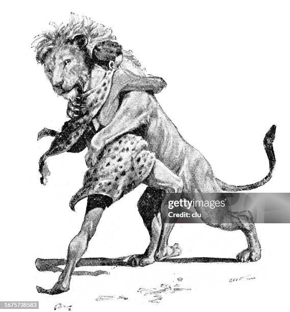 ilustraciones, imágenes clip art, dibujos animados e iconos de stock de lucha entre el león y el hombre - lion-fight-drawing