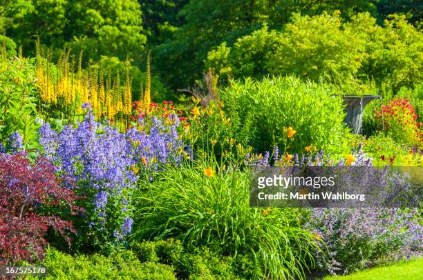 colorido jardín - perennial fotografías e imágenes de stock