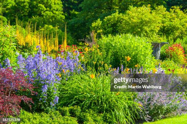 colorful garden - ornamental garden stock pictures, royalty-free photos & images