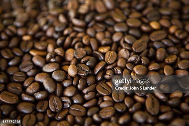 Raw Arabica Coffee Beans - arabica is a species of coffee bean originally indigenous to the mountains of the southwestern highlands of Ethiopia. It...