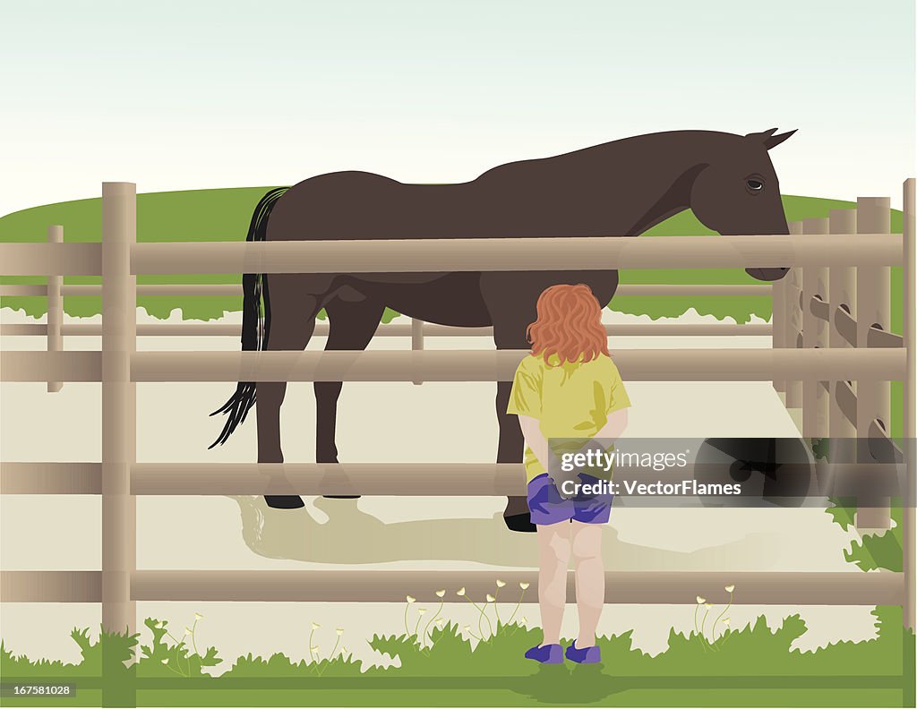 Girl Looking at a Horse