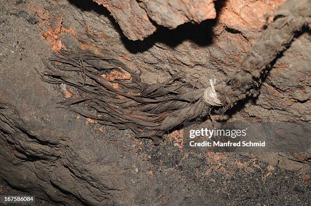 Piece of rope near the oldest known wooden staircase which leads to a salt mine on on April 26, 2013 in Hallstatt, Austria. The staircase dates from...