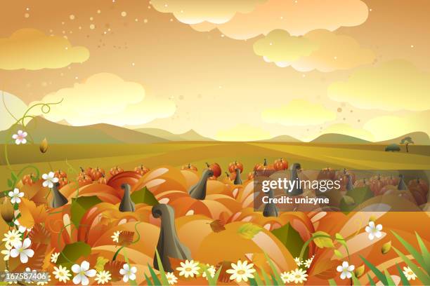 autumn background with pumpkins - dry grass field stock illustrations