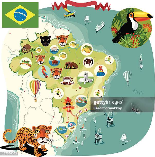 bildbanksillustrationer, clip art samt tecknat material och ikoner med cartoon map of brazil - samba