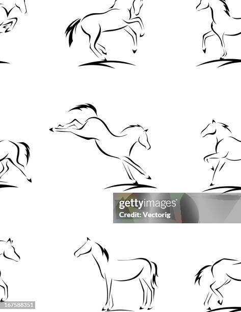 ilustraciones, imágenes clip art, dibujos animados e iconos de stock de bocetos de caballo - caballo familia del caballo