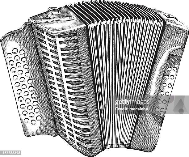 bildbanksillustrationer, clip art samt tecknat material och ikoner med accordion - bandoneon