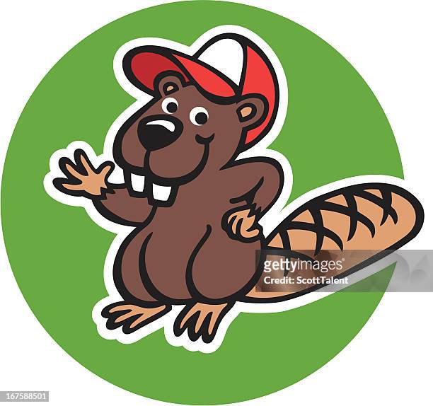 97 Beaver Teeth High Res Illustrations - Getty Images