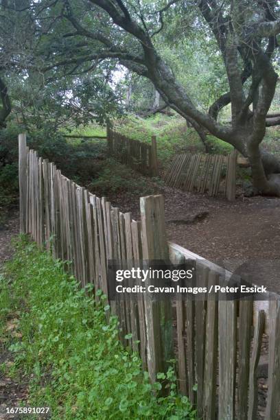 earthquake-displaced fence - california earthquake stock pictures, royalty-free photos & images