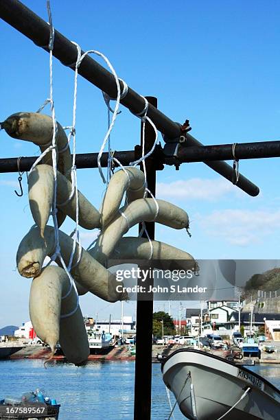 Daikons or Japanese radishes, are the most popular vegetable in Japan. Pickled, grated, or raw, they are found in one form or another at nearly every...