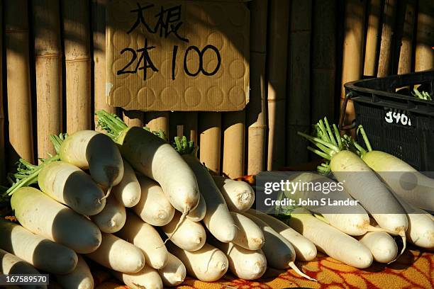 Daikons or Japanese radishes, are the most popular vegetable in Japan. Pickled, grated, or raw, they are found in one form or another at nearly every...