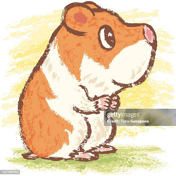 hamster standing - hamster stock illustrations