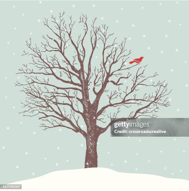 red bird flußbarsch - hockend stock-grafiken, -clipart, -cartoons und -symbole