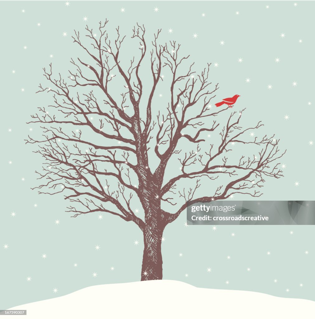 Red Bird Perch