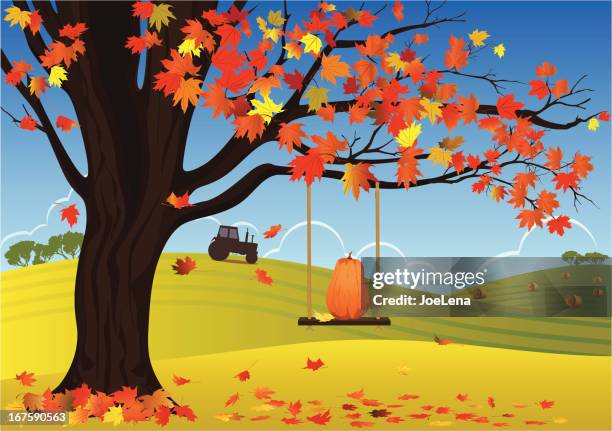 ilustraciones, imágenes clip art, dibujos animados e iconos de stock de arce y swing en el otoño de fondo - columpio de cuerda