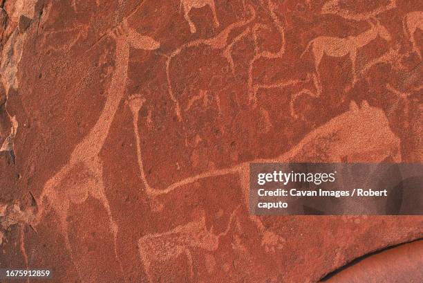 petroglyphs on stone, namibia. (detail) - trophy hunting lion stock pictures, royalty-free photos & images