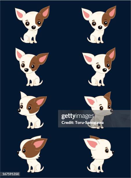 stockillustraties, clipart, cartoons en iconen met eight poses of chihuahua - chihuahua - dog