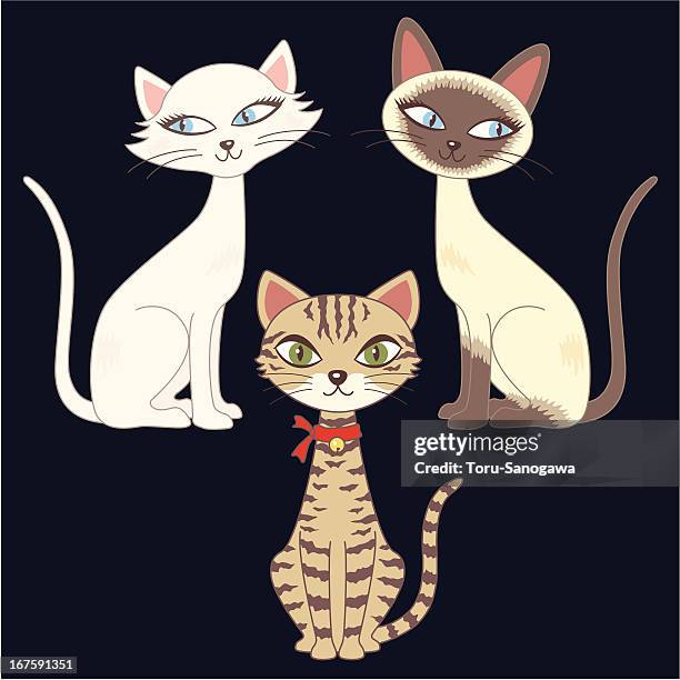 three cats - siamese cat stock illustrations