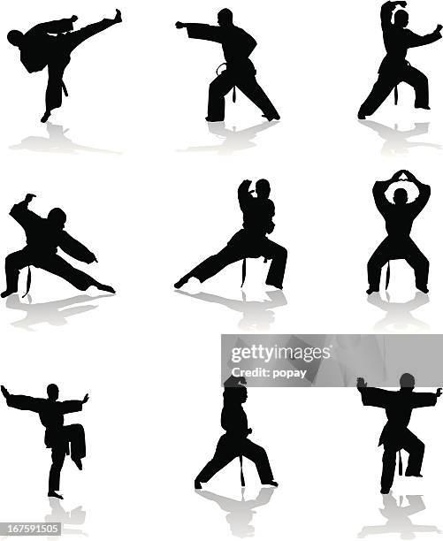 illustrazioni stock, clip art, cartoni animati e icone di tendenza di silhouette di karate - karate