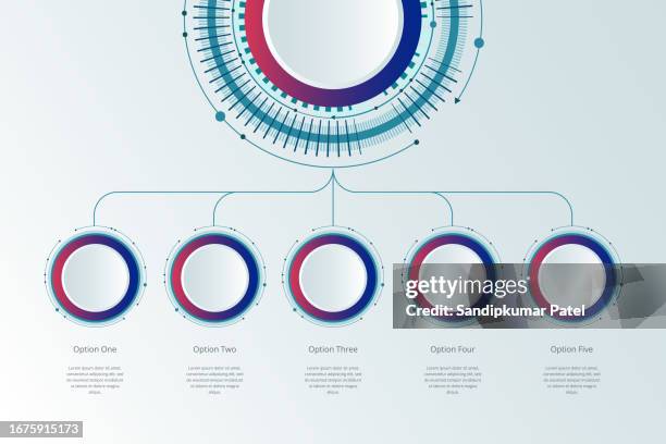 illustrations, cliparts, dessins animés et icônes de conception d’éléments infographiques 5 step circle. - infographic 5 step process