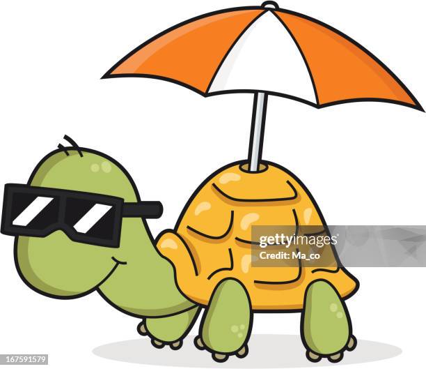 cartoon turtle with parasol - sun safety stock illustrations