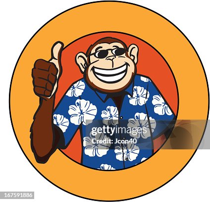 Cool Monkey Cool Monkey