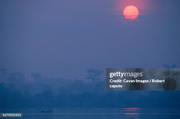 congo river - zaire stock pictures, royalty-free photos & images