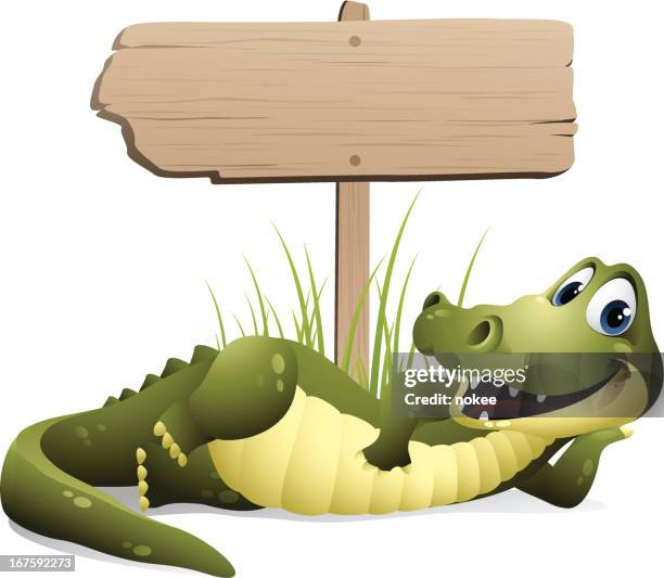 stockillustraties, clipart, cartoons en iconen met alligator - road sign - krokodillenfamilie