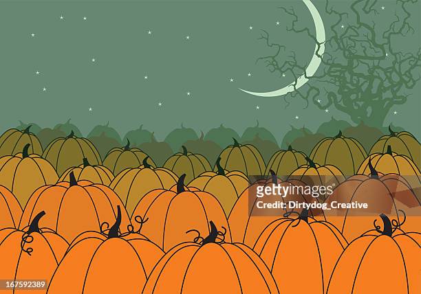 2,204 Pumpkin Wallpaper High Res Illustrations - Getty Images