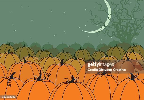 cartoon halloween pumpkin patch - pumpkin patch stock illustrations