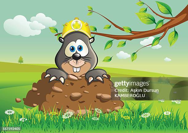 valley - mole stock illustrations
