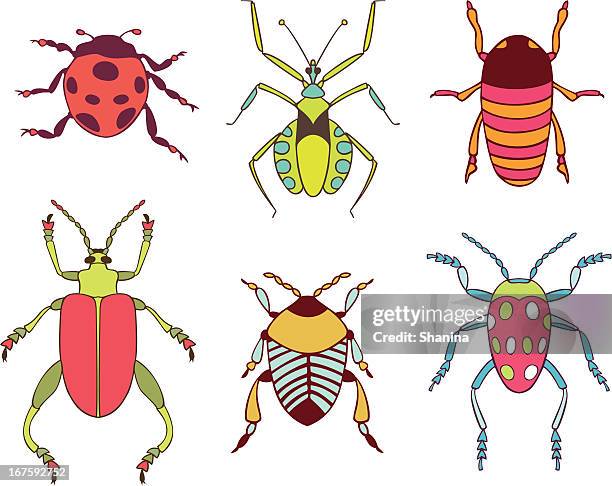 beetles collection - longhorn beetle stock illustrations