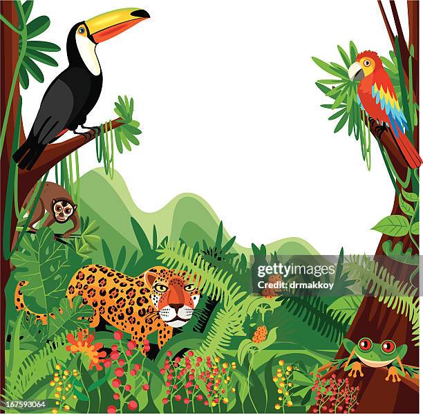 tropischen wald - tukan stock-grafiken, -clipart, -cartoons und -symbole