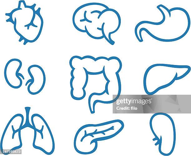 illustrations, cliparts, dessins animés et icônes de organe symboles simples - tissu humain