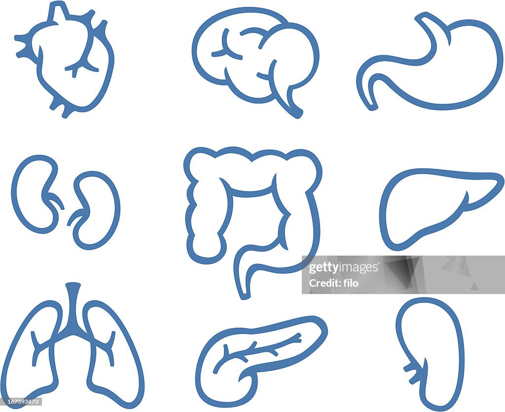Simple Organ Symbols