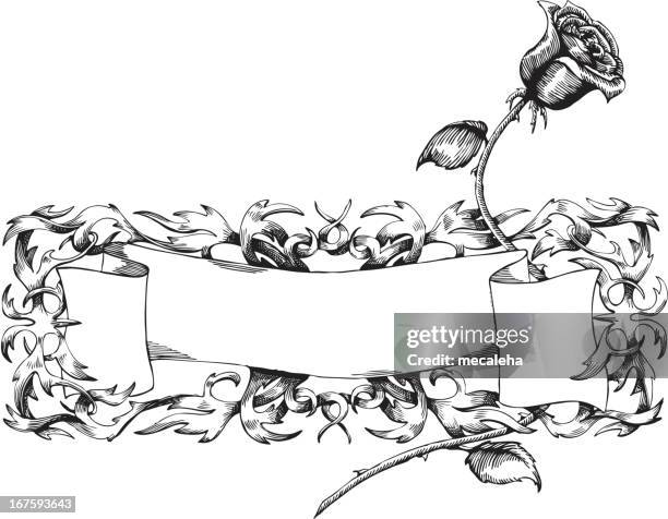 rose - paper-scroll-sketch stock illustrations