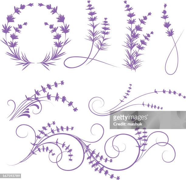 lavander - lilac bush stock illustrations
