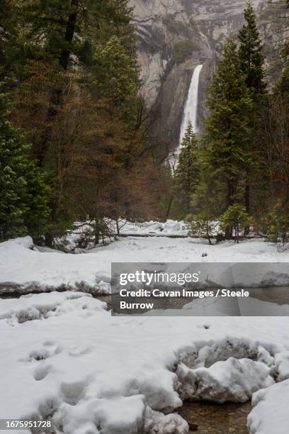 lower yosemite falls seen in winter in yosemite national park - steele stock pictures, royalty-free photos & images