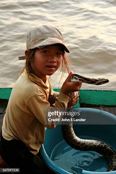Cambodia Python 60 Cambodia Python Stock Photos, High-Res Pictures, and Images - Getty ...