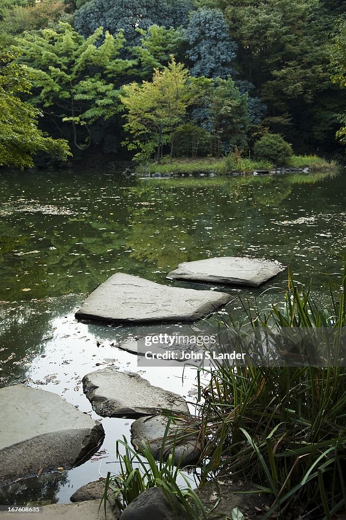 Sanshiro Pond lies in the heart of Tokyo University campus,...