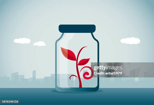 a sapling grown in a bottle - stuck inside stock illustrations