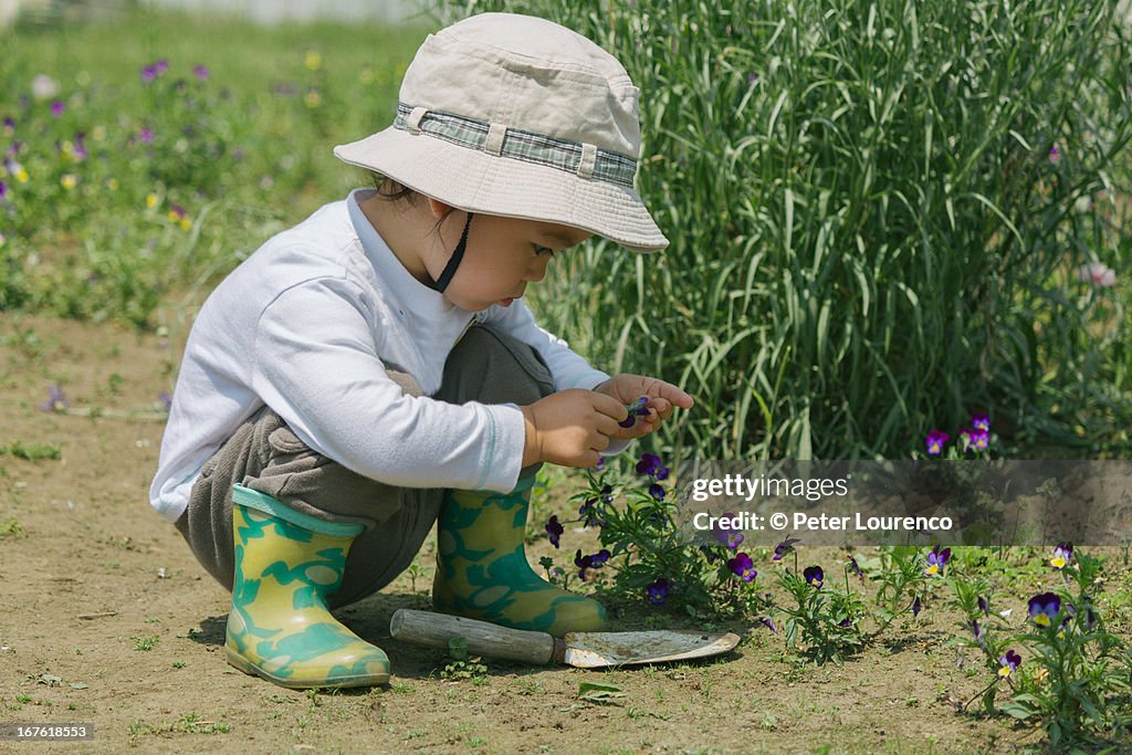 Little gardener