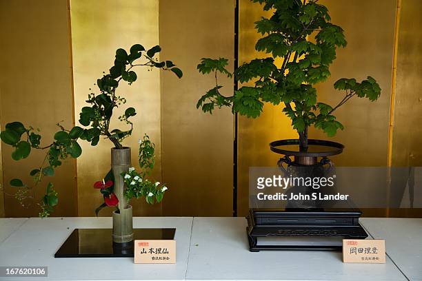 Bonsai is the art of growing trees in containers. Bonsai is sometimes confused with dwarfing but dwarfing refers to creating plant material that are...