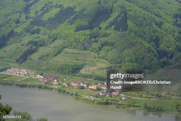 view from the red wall to the village of schwallenbach on the danube, rossatz-arnsdorf, lower austria, austria - rossatz stock pictures, royalty-free photos & images