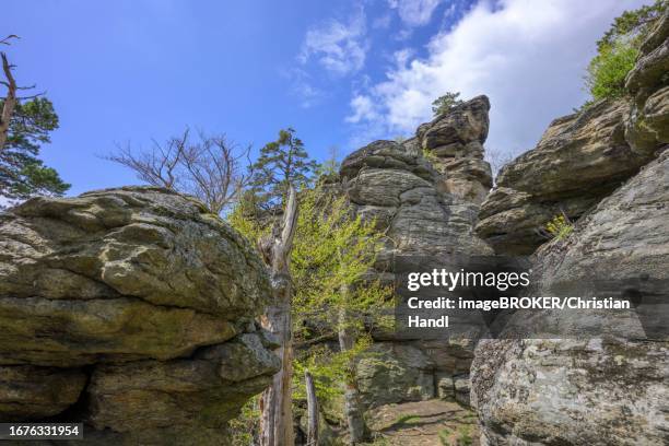 climbing rock hohe stein, rossatz-arnsdorf, lower austria, austria - rossatz stock pictures, royalty-free photos & images