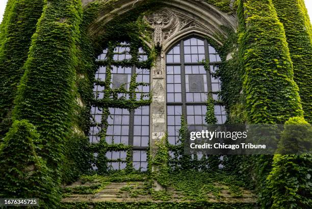 Ivy covers a window on the campus at Northwestern University on Tuesday, July 11 in Evanston, Illinois.