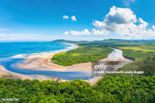 playa y estuario de tamarindo, guanacaste, costa rica - estuario fotografías e imágenes de stock